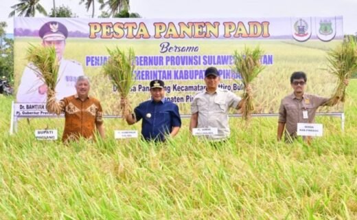 Panen di Pinrang, Bahtiar Optimis Sulsel Surplus Beras