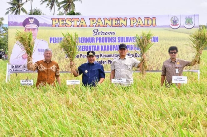 Panen di Pinrang, Bahtiar Optimis Sulsel Surplus Beras